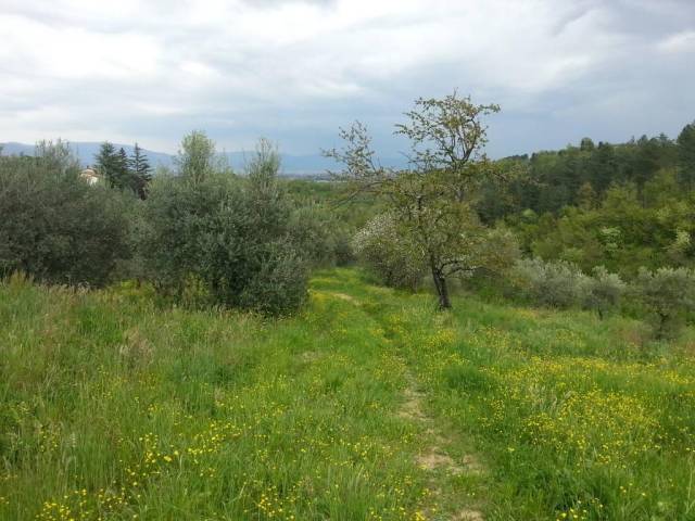 terreno agricolo in vendita a Serravalle Pistoiese in zona Vinacciano